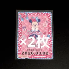 2枚 ディズニー リゾートライン ミニーの日 ミニーのファンダーランド 期限切れ