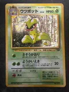 初版　PSA8 スピアー　旧裏　杉森建 2025年最新】杉森_建の人気アイテム - メルカリ