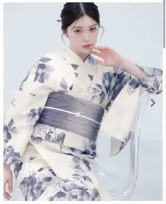 【最安値】　京の水墨画(涼) dita Dita 2026 浴衣5点セット 新品】Dita ディータ☆京の水墨画(涼)☆ 浴衣5点セット 今期新作2026