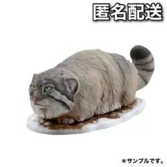 ダーウィンが来た！ ミニチュアフィギュア　マヌルネコ　フルカラー版　新品