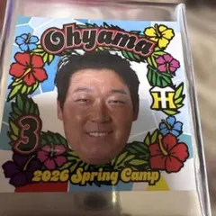 Item thumbnail for item 11af49a0-ac0d-4041-862c-a7033afc18b2