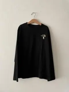 ザ・ノース・フェイス Tシャツ 長袖 NTJ82332ST 150