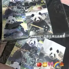 新品 アドベンチャーワールド クールタオル 良浜 結浜 彩浜 楓浜 4個