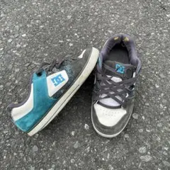 dc スケシュー sk8 y2k erl 似