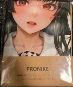 アズールレーン酒匂　PRONIKE タペストリー