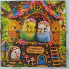 ☆受付中☆鳥さん各種