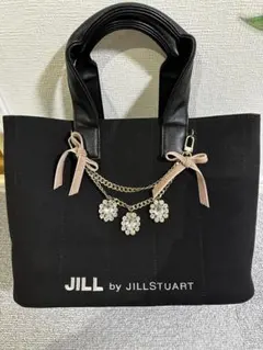 ジルスチュアート　バッグ