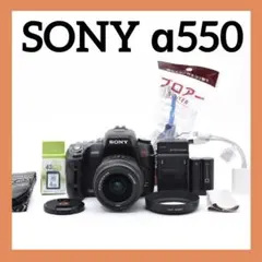 SONY α550✨写真をスマホ転送✨チルト式液晶モニター✨シングルレンズ