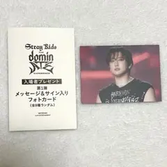 【即日発送】スキズ 映画 入場者特典 dominATE チャンビン