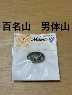 Item thumbnail for item d71f4537-53c4-46ed-9306-bc4545c037a7