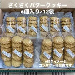 20袋 さくっとクッキー チョコ味 賞味期限2032年9月末 通常