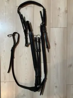 Item thumbnail for item 58fda528-f584-4574-8c6b-7ac9d3814c4d