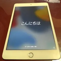 iPad mini4 本体　セルラー　128GB ライトニングケーブル3本付