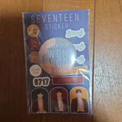 SEVENTEEN WONWOO ステッカー　缶バッジセット
