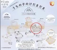 うちの子のけだまだま 犬のけだまだま チワワ　黒