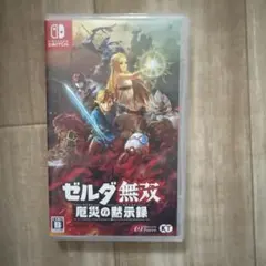 ゼルダ無双　危険の黙示録