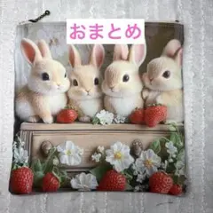 うさ様 リクエスト 3点 まとめ商品