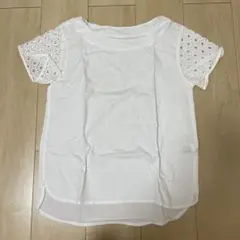 Item thumbnail for item 0c810cf8-28c1-4600-b622-f4f008282e8a