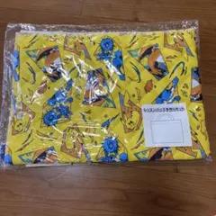 ポケモン レッスンバッグ 手作りキット