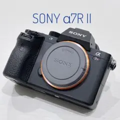 2026年最新】ソニーα7RIIボディILCE_7RM2の人気アイテム - メルカリ