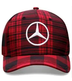 2026年最新】ルイスハミルトンの人気アイテム - メルカリ