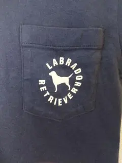 ラブラドールレトリバー　レディースTシャツ　紺色Mのサムネイル