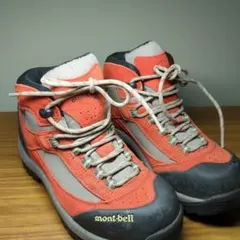 Item thumbnail for item 4078e54b-ee10-470b-a361-b296ca8a3a2e