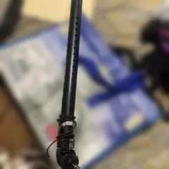 Item thumbnail for item 6fa55070-c360-44d8-ba53-939b7d80a108