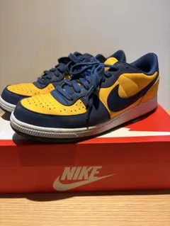 ナイキ ターミネーター ロー ミシガン　中古　付属品 ネイビー　Nike