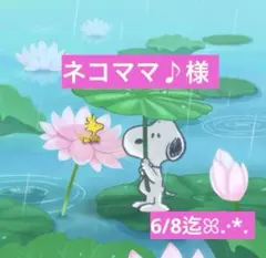 ネコママ♪様 専用ページ