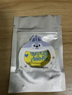 SKZOO SECRET ACRYLIC CARABINER ウルフチャン