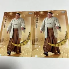 Item thumbnail for item 28a1093a-b066-4bf2-b325-4d20166d285c