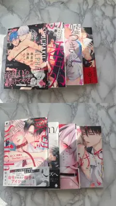 ボーイズラブ漫画11冊セット