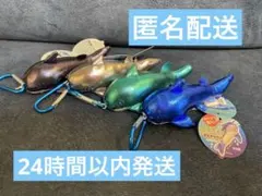 ぶるぶる　ギラギラサメ　4種セット