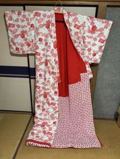 白藤娘・正絹裾引き、日舞・大衆演劇に 2026年最新】大衆 裾引きの人気アイテム - メルカリ