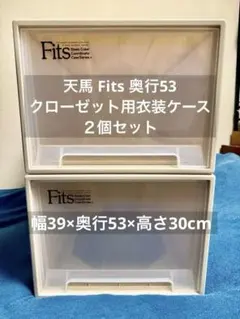天馬 Fits フィッツケース クローゼット 奥行53 2個セットのサムネイル