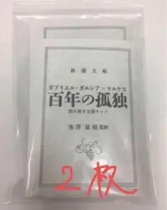 【2枚入り】百年の孤独 池澤夏樹監修 読み解き支援キット