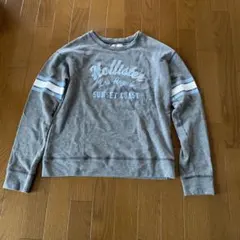 HOLLISTERロゴ入りグレートレーナー未使用