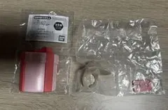 SKZOO ぷくっとバースデークリアリング フォクシニー　アギパン