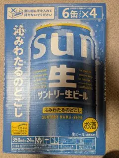 サントリー生ビール 夏生 500ml×24缶 ケース 賞味期限2027年2月 - メルカリ