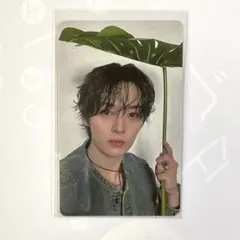 stray kids リノ エコパスタジアム 5/11 会場限定 トレカ