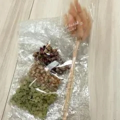 韓国製　ドライフラワー 4点セットのサムネイル