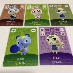 あつ森 amiiboカード ジュン ジャック ビアンカ リチャード スピカ あつ森 amiiboカード ジュン ジャック ビアンカ リチャード スピカ