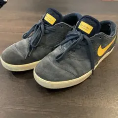 ※7月末まで販売NIKE SB LUNARLON ERICKOSTON2のサムネイル