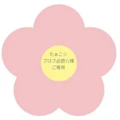 たぁこ☆プロフ必読☆様　ご専用