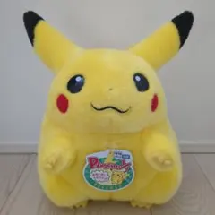 ポケットモンスター ポケモン30周年記念 おかえり!ピカチュウ1/1