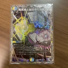 真気楼と誠偽感の決断 パーフェクトペテンシー