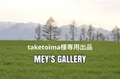 taketoima様専用出品