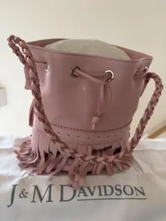 I&m davidson amarc カーニバルM