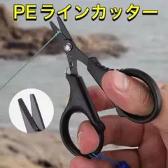 Item thumbnail for item a0d7de2c-3f06-411a-9735-2999c8759209